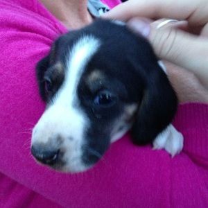 Meet your Posher, Johanna